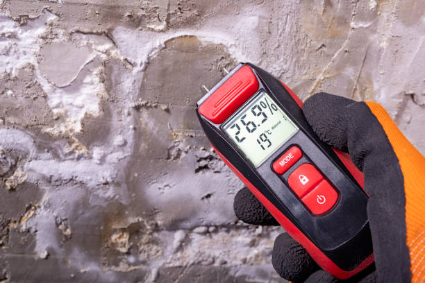 Best Mold Testing and Inspection Services in Columbus, KS