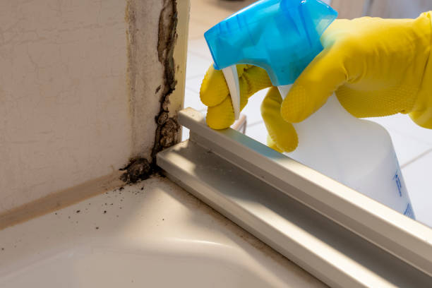 Best Health and Safety Mold Remediation in Columbus, KS