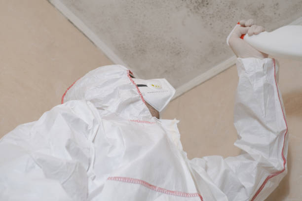 Best Industrial Mold Remediation in Columbus, KS