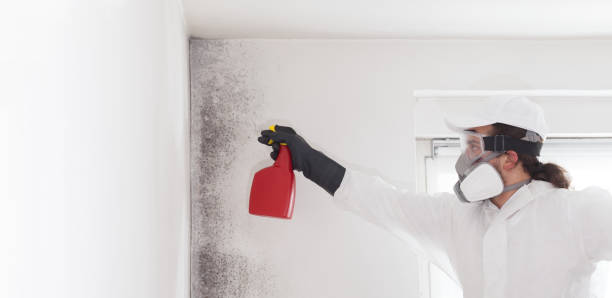 Columbus, KS Mold Remediation Company